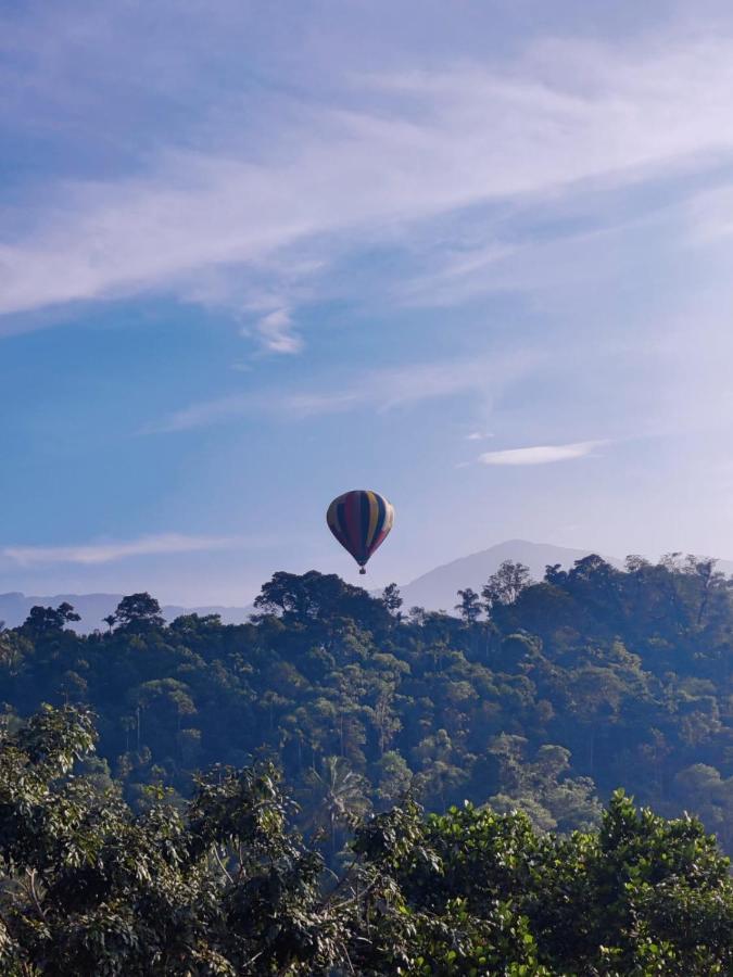 Munnar Bnb B&B 외부 사진