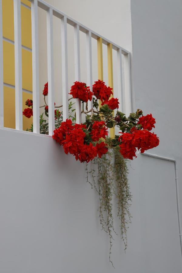 Munnar Bnb B&B 외부 사진